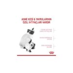 Royal Canin Mother & Babycat Anne ve Yavru Kedi Maması 2 Kg - Görsel 4