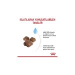 Royal Canin Mother&BabyCat Gebe/Laktasyondaki Anne ve Yavru Kedi için Kuru Kedi Maması 4kg - Görsel 5