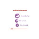Royal Canin Sterilised +7 Yaşlı Kedi Maması 3.5 Kg - Görsel 4