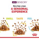 Royal Canin Sensory Koku Duyusu için Sos İçerisinde Yaş Kedi Maması 85g - Görsel 4