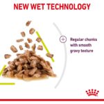 Royal Canin Sensory Koku Duyusu için Sos İçerisinde Yaş Kedi Maması 85g - Görsel 5