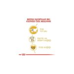 Royal Canin British Shorthair Kedilerine Özel Mama 10 Kg - Görsel 3