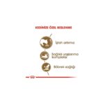 Royal Canin Ageing +12 Yaşlı Kedi Maması 2 Kg - Görsel 5