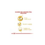 Royal Canin Siamese Siyam Kedilerine Özel Mama 2 Kg - Görsel 3