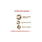 Royal Canin 12 yaş ve Üzeri Kediler için Yaş Kedi Maması 85g - Görsel 4