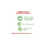 Royal Canin Sindirim Hassasiyeti Olan Kediler için Yaş Kedi Maması 85g - Görsel 4