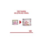 Royal Canin Mother&BabyCat Gebe/Laktasyondaki Anne ve Yavru Kedi için Kedi Konservesi 195g - Görsel 3