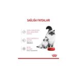 Royal Canin Mother&BabyCat Gebe/Laktasyondaki Anne ve Yavru Kedi için Kedi Konservesi 195g - Görsel 4