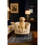 The Ivy Concept Store The Noble Run Hayvan/ Köpek Yatağı - Görsel 3