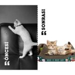 EMS Ambalaj Karton Kedi Tırmalama Çantoplu 38*6*20 - Görsel 5