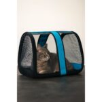 Ksburda Kedi Köpek Taşıma Çantası Şeffaf Seyahat Evcil Hayvan Çantası Büyük Boy Şeffaf Astronot Flybag- - Görsel 2