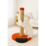 Reyo Pet Uğur Böceği Kedi Tırmalama Platformu Kırmızı - Görsel 3