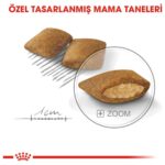 Royal Canin Hair And Skin Care 4 kg + Hair And Skin Gravy x 2 Adet Hediye - Görsel 4