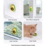 Belle Fusion Avakado Kedi Nanesi Cat Mint Oyun Topu - Görsel 2