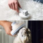 Go İthalat Basmalı Kedi Köpek Tüy Toparlayıcı Masaj Etkili Pet Fırçası (5263) - Görsel 4