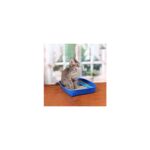 Sanicat Active Kedi Kumu 9,07 kg Şeftali Kokusuyla Mükemmel Hijyen ve Topaklanma - Görsel 3