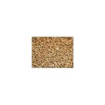 Catmozz Çam Peleti Kedi Kumu 40 Lt Doğal Koku Kontrolü ile Tozsuz ve Topaklaşmayan - Görsel 2