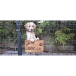 Masif Special Evcil Hayvan Kapı Isimliği - Kişiye Özel Lazer Yazılı Ahşap Köpek Kulübesi Isimliği - Masif Gürgen - Görsel 2