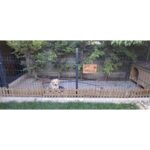 Masif Special Evcil Hayvan Kapı Isimliği - Kişiye Özel Lazer Yazılı Ahşap Köpek Kulübesi Isimliği - Masif Gürgen - Görsel 5