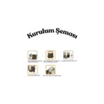 MPS Skudo 5 Lata Tekerleksiz Taşıma Kafesi Jungle Hediyeli. - Görsel 4