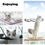 Gold Be Kedi Pencere Yatağı – Vakumlu Güneşlenme ve Dinlenme Alanı - Görsel 4