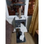 Gri Kedi Tırmalama ve Oyun Evi Platformu, Eğlenceli ve Dayanıklı Tasarım - Görsel 3
