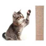 Gri Kedi Tırmalama ve Oyun Evi Platformu, Eğlenceli ve Dayanıklı Tasarım - Görsel 4