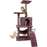 Mor Renkli Katlı Tırmalama ve Oyun Evi, Çok Amaçlı Dinlenme Alanı