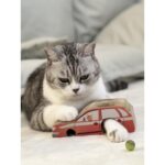 Sarı Akordiyon Tırmalama Tahtası 19X7X8 Cm, Kediler Için Eğlenceli ve Dayanıklı - Görsel 3