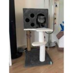 Renkli, Dayanıklı Orta Boy Tırmalama Evi ve Oyun Alanı, Şık Tasarım - Görsel 2