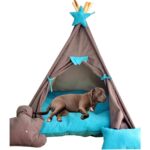 Turkuaz Büyük Köpek Evi, Yıkanabilir, Yırtılmaz Kumaş, Soft Minderli, Rahat Kullanım - Görsel 2