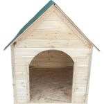 Soğuğa ve Suya Dayanıklı Büyük Yeşil Ahşap Köpek Kulübesi, Dayanıklı ve Şık Tasarım - Görsel 2