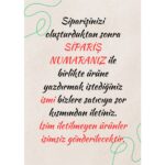 Beyaz Ahşap Tek Katlı Köpek Evi, Dekoratif ve Şık Tasarım - Görsel 3