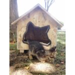 Suya Dayanıklı Şık Ahşap Kedi Kulübesi, Kahverengi, Dayanıklı ve Estetik Tasarım - Görsel 4