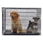 Iki Kapılı Metal Köpek Kafesi, 122X76X84 Cm, Beyaz, Dayanıklı ve Pratik Kullanım - Görsel 2