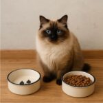 2’li Seramik Evcil Hayvan Mama Kabı, 300ML, Beyaz, Manuel Kullanım