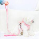 Renkli Peluş Ayıcıklı Göğüs Gezdirme Seti, Konforlu ve Eğlenceli Tasarım - Görsel 5