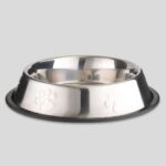 2'li Çelik Kedi ve Köpek Mama ve Su Kabı, 16CM, Beyaz - Görsel 4