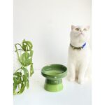 Seramik Kedi ve Köpek Su ve Mama Kabı, Ekru, Şık ve Dayanıklı Tasarım