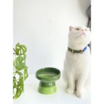 Seramik Kedi ve Köpek Su ve Mama Kabı, Ekru, Şık ve Dayanıklı Tasarım - Görsel 3