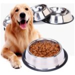 2'li 22 cm Paslanmaz Çelik Evcil Hayvan Mama ve Su Kabı, Dayanıklı ve Şık Tasarım