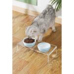 2'li Mavi Seramik Kedi Köpek Mama ve Su Kabı Seti - Görsel 3