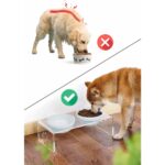 2'li Mavi Seramik Kedi Köpek Mama ve Su Kabı Seti - Görsel 5