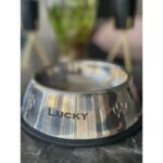 Evcil Hayvanlar Için Şık Tasarım Isimli Mama ve Su Kabı, Dayanıklı Çelik Malzeme