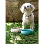 El Yapımı Seramik Mama ve Su Kabı, Şık ve Dayanıklı Tasarım, Hijyenik Kullanım. - Görsel 3