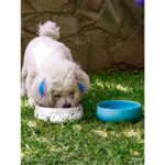 El Yapımı Seramik Mama ve Su Kabı, Şık ve Dayanıklı Tasarım, Hijyenik Kullanım. - Görsel 5