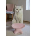 Pembe Seramik Kedi ve Köpek Mama Su Kabı, Şık ve Kullanışlı Tasarım.