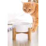 Seramik Mama ve Su Kabı, Kaymaz Taban, 500ML, Beyaz, 2'li Set - Görsel 4