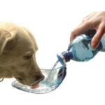 Portatif Turuncu Su Kabı, Hafif ve Pratik, Kolay Taşınabilir, Evcil Hayvanlar Için Ideal