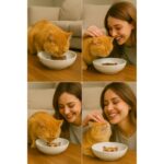 Sevimli Kedi Figürlü Seramik Mama ve Su Kabı, 13 Cm, Kaymaz, Temizliği Kolay - Görsel 2